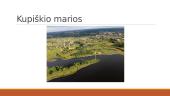 Kupiškio miestas 8 puslapis