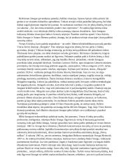 Žmogaus pasirinkimai ribinėse situacijose 2 puslapis