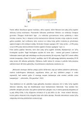 Lyčių lygybės politika Europos Sąjungoje 11 puslapis
