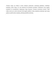 Lyčių lygybės politika Europos Sąjungoje 14 puslapis