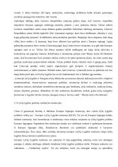 Lyčių lygybės politika Europos Sąjungoje 19 puslapis