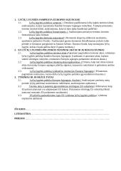 Lyčių lygybės politika Europos Sąjungoje 2 puslapis