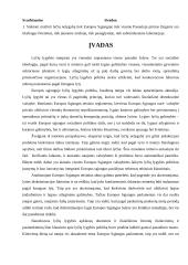 Lyčių lygybės politika Europos Sąjungoje 4 puslapis