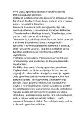 Liudas Vasaris ir poezija 3 puslapis