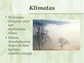 Britų salų gamta 19 puslapis