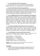 Mikroelektronikos uždaviniai bei pagrindiniai mikroschemų tipai 2 puslapis