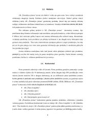 AB „Žemaitijos pienas“ rinkos analizė 6 puslapis