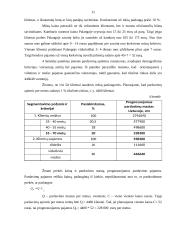 Naujo produkto kūrimas 11 puslapis