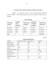 Naujo produkto kūrimas 12 puslapis