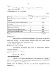 Naujo produkto kūrimas 13 puslapis