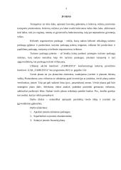 Naujo produkto kūrimas 3 puslapis