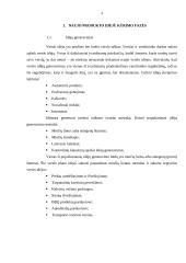 Naujo produkto kūrimas 4 puslapis