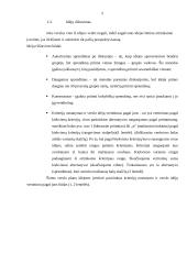 Naujo produkto kūrimas 5 puslapis