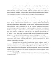 Naujo produkto kūrimas 7 puslapis