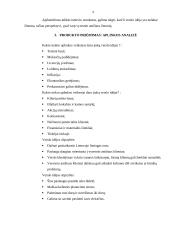 Naujo produkto kūrimas 9 puslapis