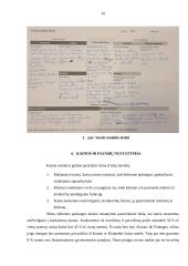 Naujo produkto kūrimas 10 puslapis