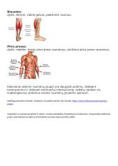 Raumenų grupės 4 puslapis