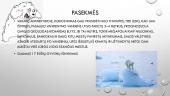 Globalinė problema - ledynų tirpimas 10 puslapis