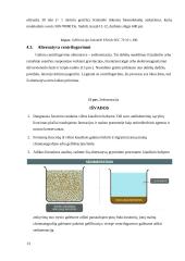 Fermento lizocimo išskyrimas ir gryninimas iš vištos kiaušinio 12 puslapis