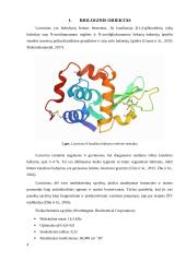 Fermento lizocimo išskyrimas ir gryninimas iš vištos kiaušinio 3 puslapis