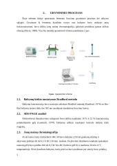 Fermento lizocimo išskyrimas ir gryninimas iš vištos kiaušinio 4 puslapis