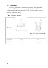 Fermento lizocimo išskyrimas ir gryninimas iš vištos kiaušinio 9 puslapis
