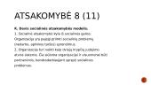 ĮSA samprata 11 puslapis
