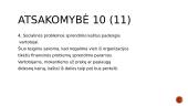 ĮSA samprata 13 puslapis