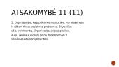 ĮSA samprata 14 puslapis
