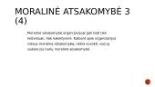 ĮSA samprata 17 puslapis