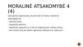 ĮSA samprata 18 puslapis