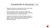 ĮSA samprata 19 puslapis