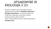 ĮSA samprata 20 puslapis