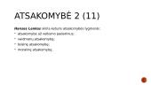ĮSA samprata 5 puslapis