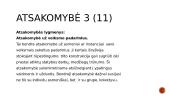 ĮSA samprata 6 puslapis