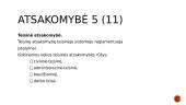ĮSA samprata 8 puslapis