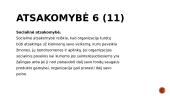 ĮSA samprata 9 puslapis