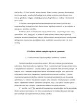 Civilinė teisė kaip privatinės teisės šaka. 15 puslapis