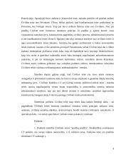 Civilinė teisė kaip privatinės teisės šaka. 4 puslapis