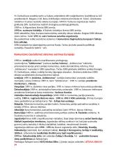 Šaltojo karo konspektas VBE egzaminui 11 puslapis