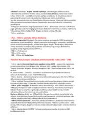 Šaltojo karo konspektas VBE egzaminui 7 puslapis