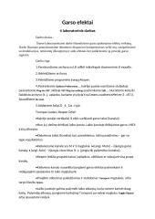 Garso apdorojimo efektų veikimas