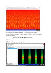 Garso apdorojimo efektų veikimas 13 puslapis