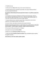 Garso apdorojimo efektų veikimas 6 puslapis