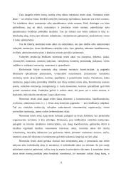 Teisės šaltinio sąvoka, rūšys bei reikšmė anglosaksų bei romanų germanų teisinėse sistemose 11 puslapis