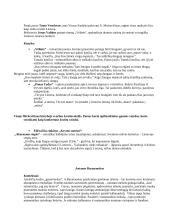 Lietuviu autorių medžiaga 11 puslapis