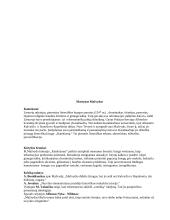 Lietuviu autorių medžiaga 4 puslapis