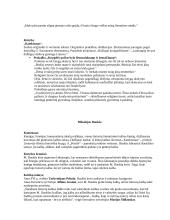 Lietuviu autorių medžiaga 5 puslapis