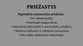 Autoavarijos bei jų pasekmės žmonėms 4 puslapis