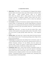 Prancūzija: įdomūs faktai ir lankytinos vietos 7 puslapis